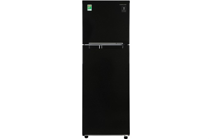 Tủ Lạnh Samsung Inverter 256 Lít RT25M4032BU/SV